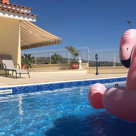 Peyia Palm Villa Paphos 外观 照片