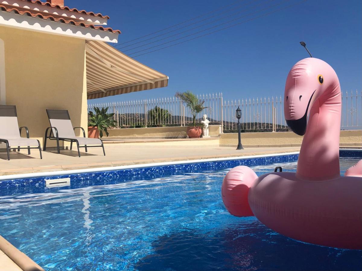 Peyia Palm Villa Paphos 外观 照片
